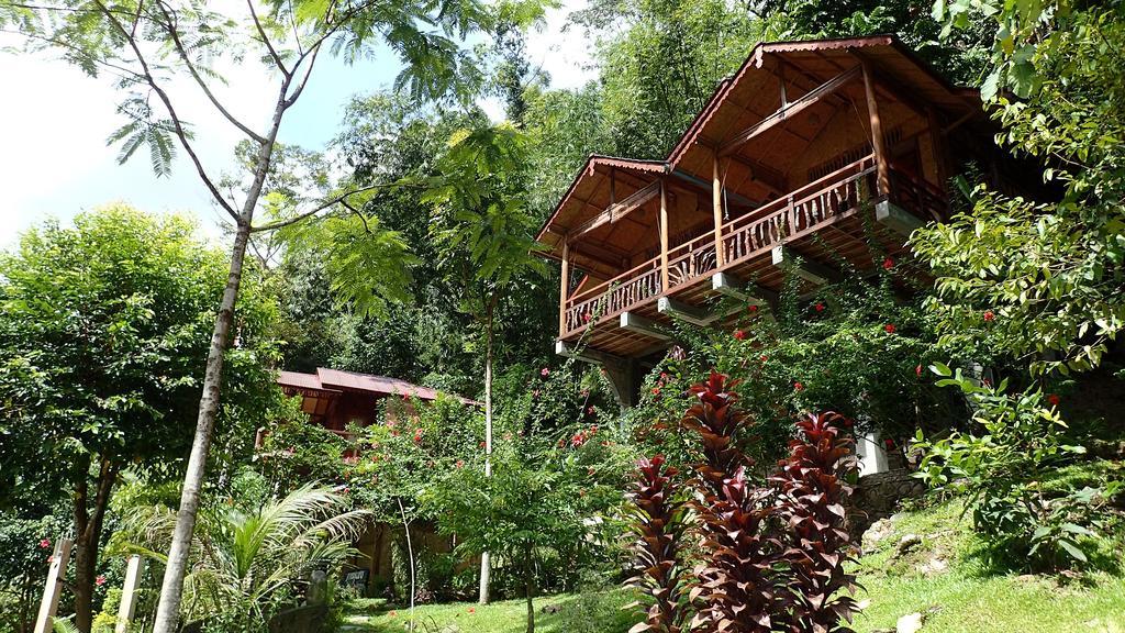 Kupu Kupu Garden Guest House & Cafe بوكيت لاوانج المظهر الخارجي الصورة