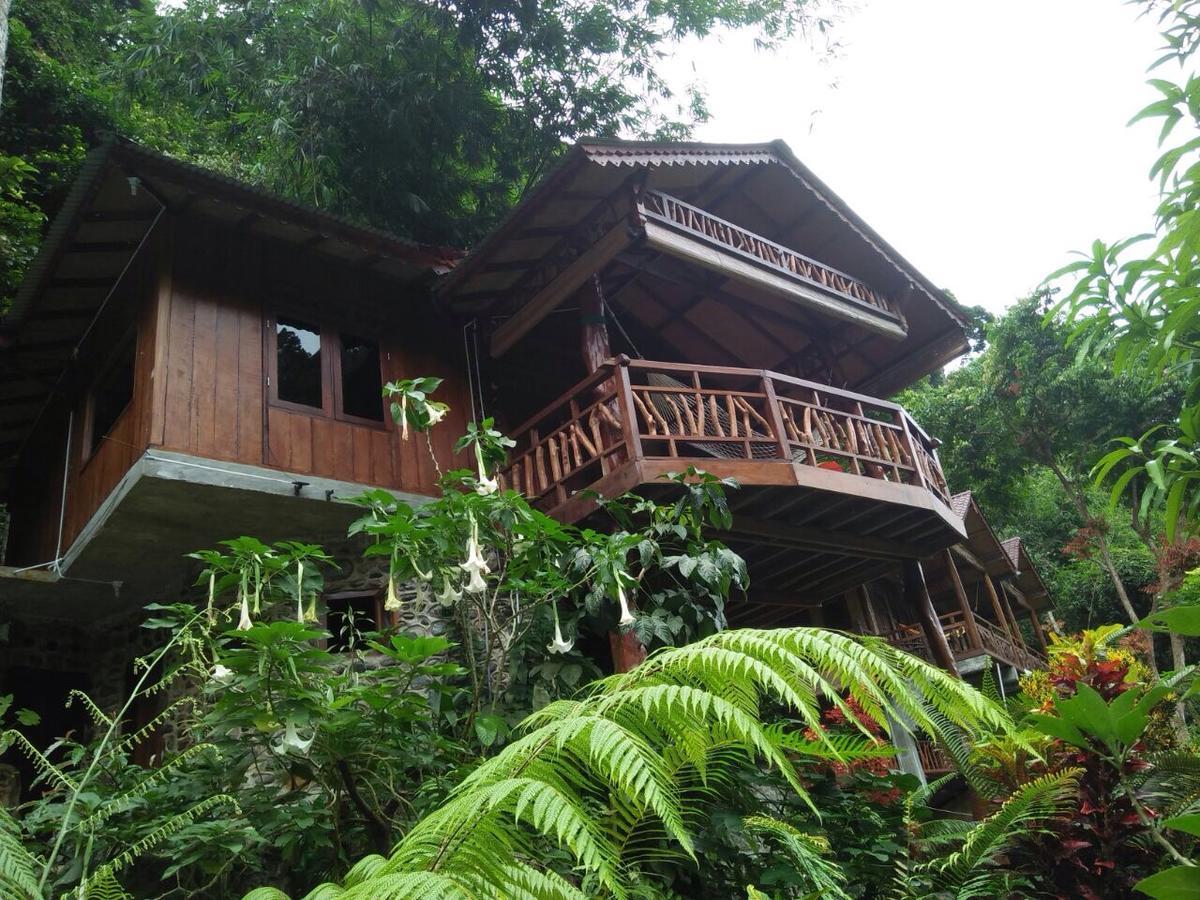 Kupu Kupu Garden Guest House & Cafe بوكيت لاوانج المظهر الخارجي الصورة