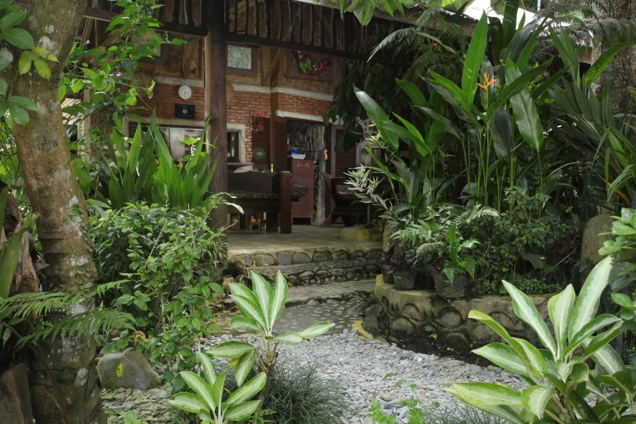 Kupu Kupu Garden Guest House & Cafe بوكيت لاوانج المظهر الخارجي الصورة